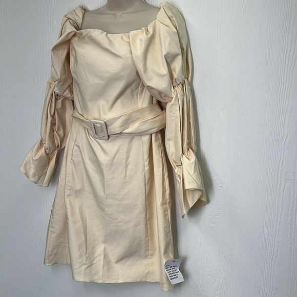 ASOS - NWT Luxe Curve Strength Detachable Belted Extreme Sleeve Dress Size 14 - Picture 5 of 12